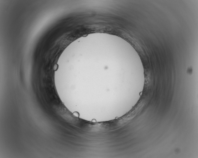 X0000116860430201001121244