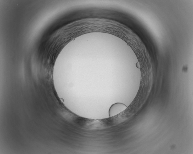 X0000116860431201001121244