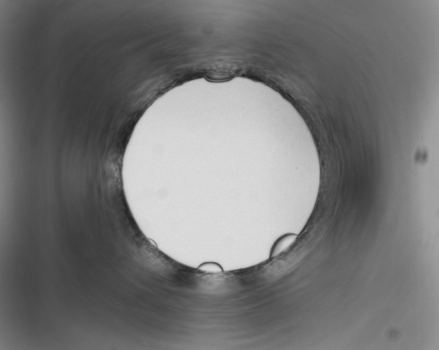 X0000116860432201001121244