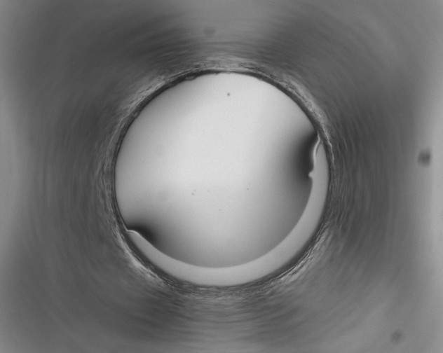 X0000116860433201001121244