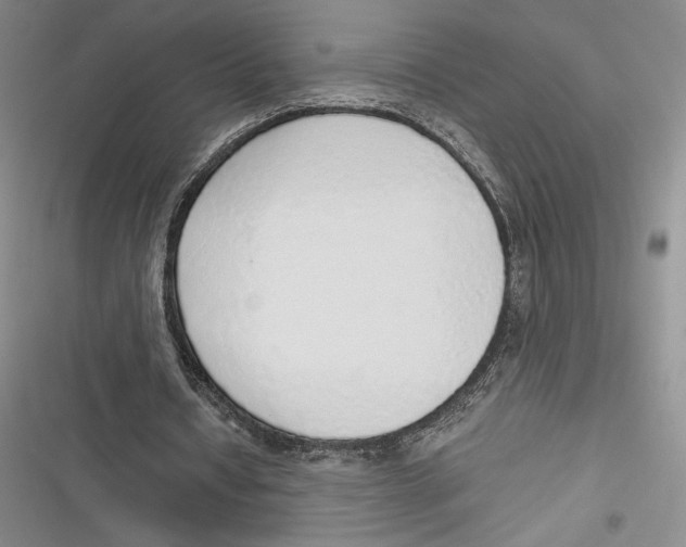 X0000116860434201001121244