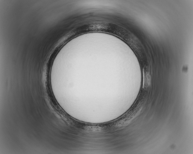 X0000116860435201001121244