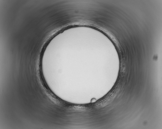 X0000116860437201001121244