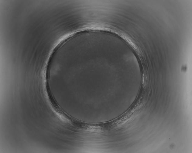 X0000116860438201001121244