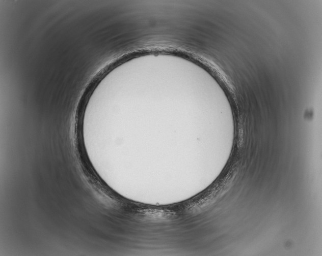 X0000116860439201001121244