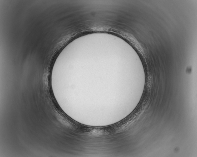 X0000116860441201001121244