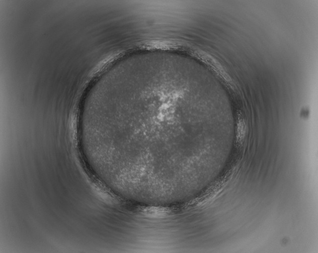 X0000116860444201001121244