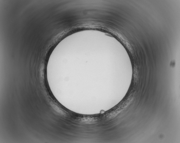 X0000116860445201001121244