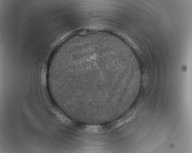 X0000116860446201001121244