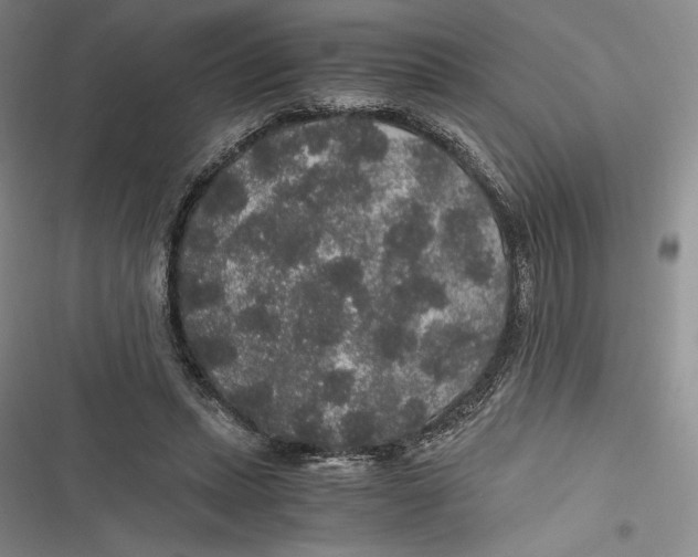 X0000116860447201001121244