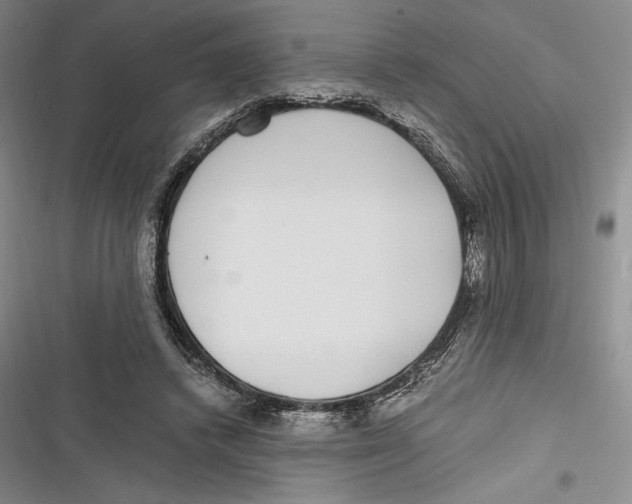 X0000116860448201001121244