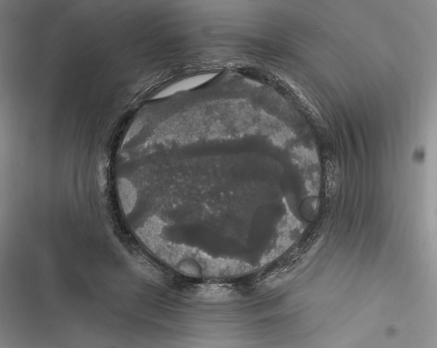 X0000116860451201001121244