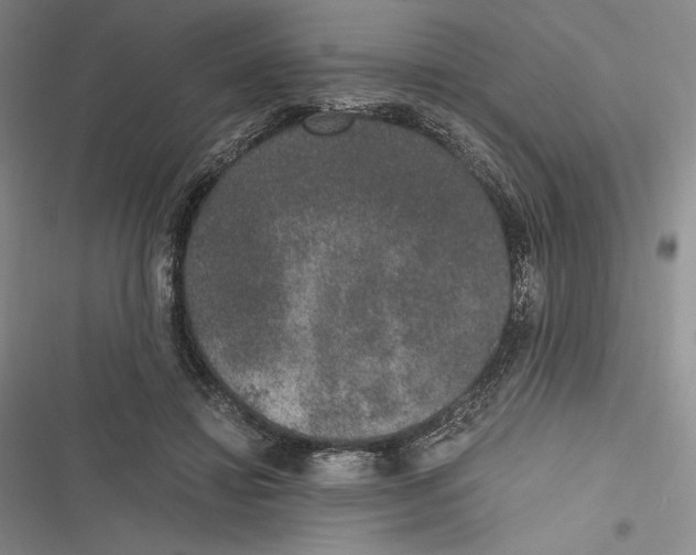 X0000116860452201001121244