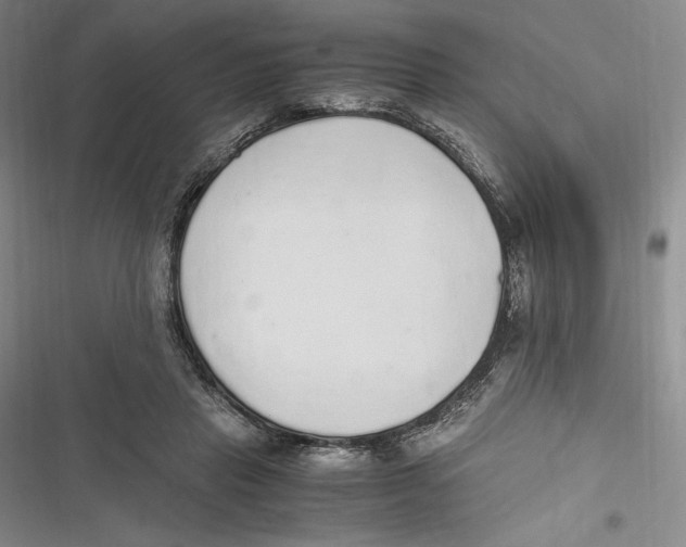 X0000116860453201001121244