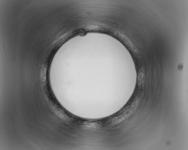 X0000116860454201001121244