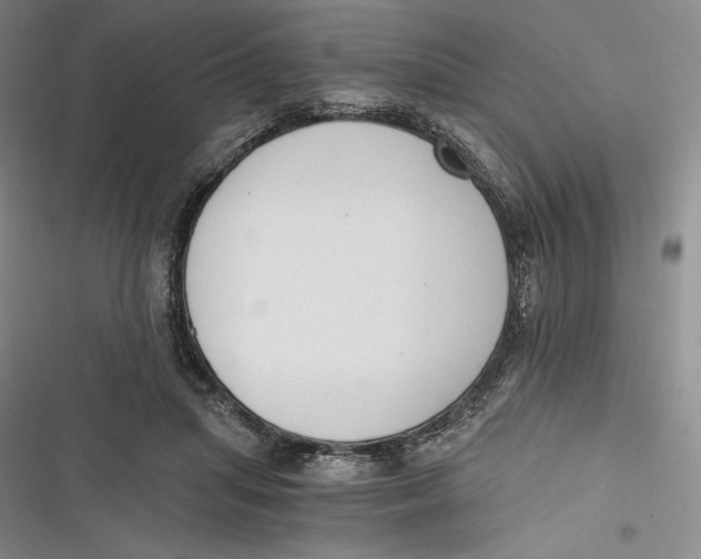 X0000116860455201001121244