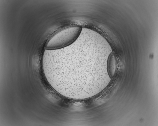 X0000116860456201001121244