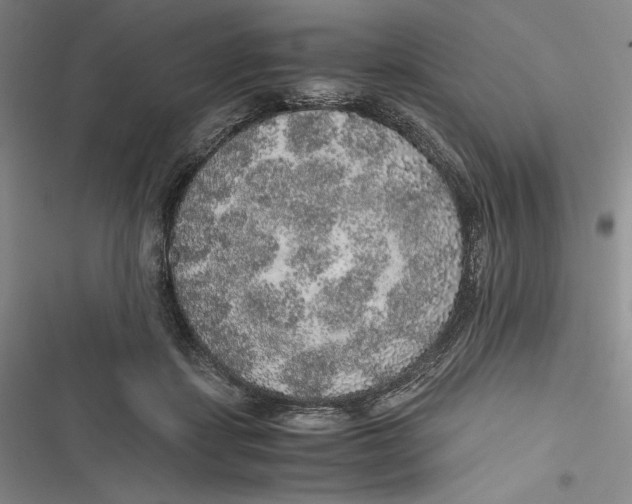 X0000116860459201001121244