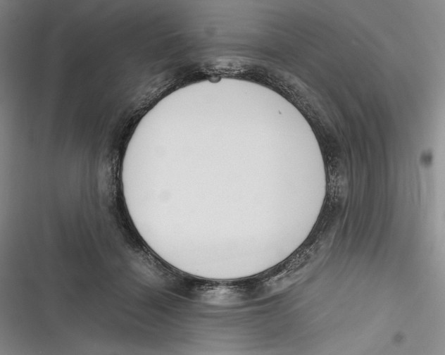 X0000116860460201001121244