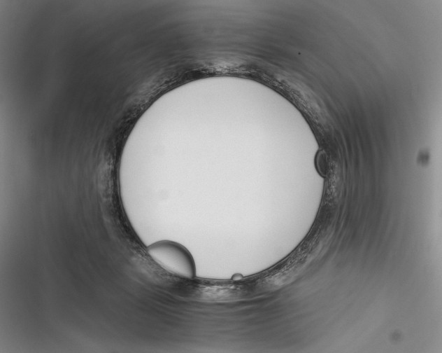 X0000116860461201001121244