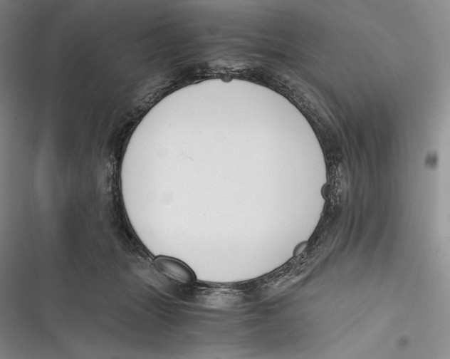 X0000116860463201001121244