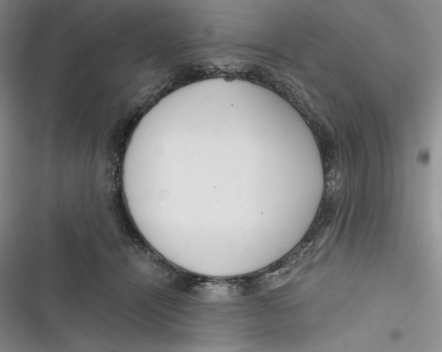 X0000116860464201001121244