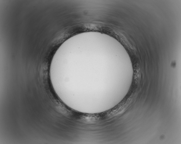 X0000116860466201001121244