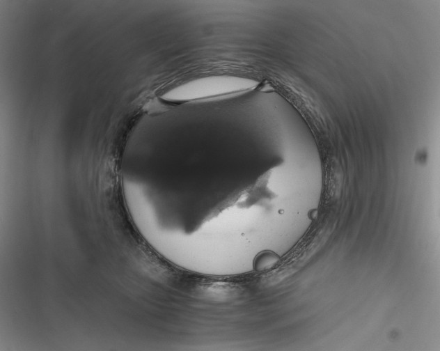 X0000116860467201001121244