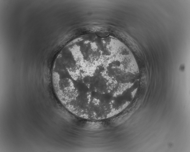 X0000116860469201001121244