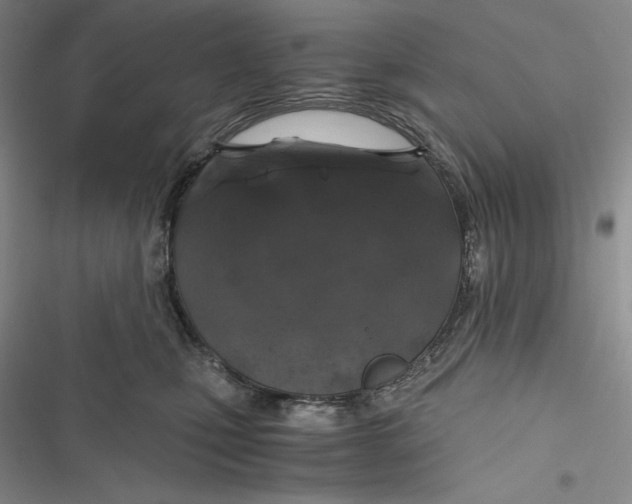 X0000116860471201001121244