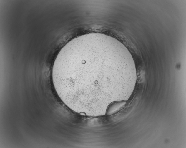 X0000116860472201001121244