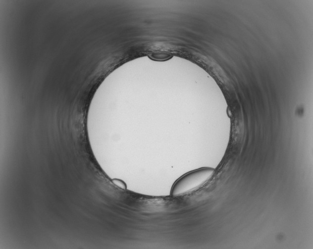 X0000116860473201001121244