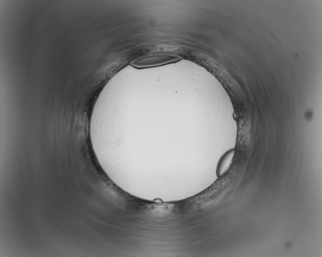 X0000116860474201001121244