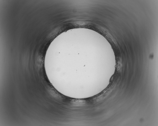 X0000116860476201001121244