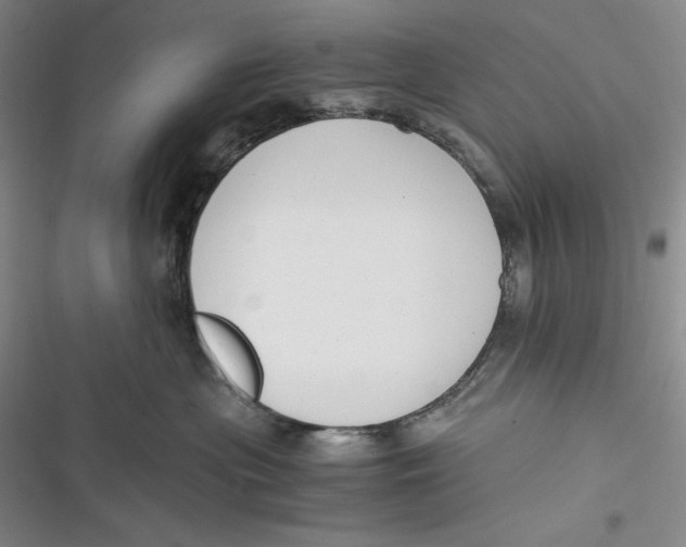 X0000116860477201001121244