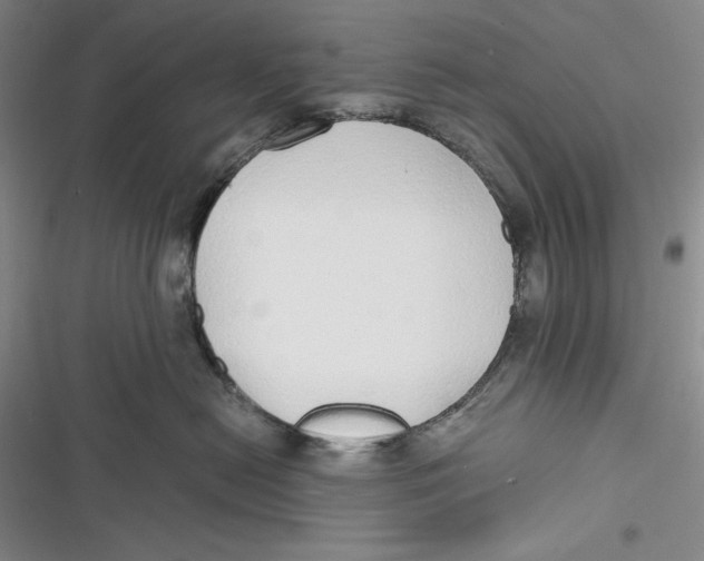 X0000116860478201001121244