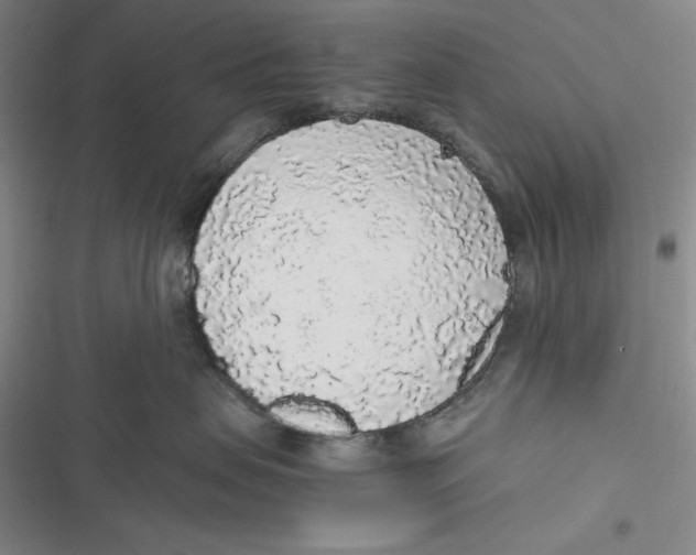 X0000116860479201001121244