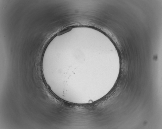 X0000116860481201001121244