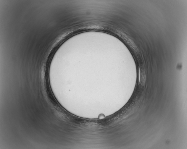 X0000116860483201001121244