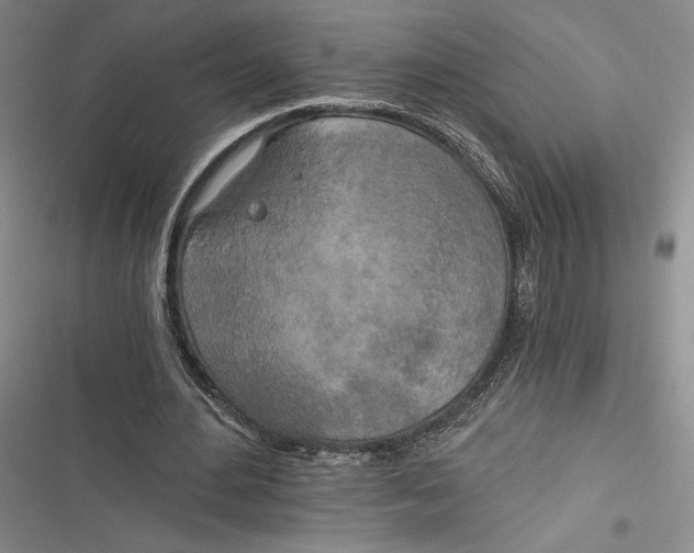 X0000116860484201001121244