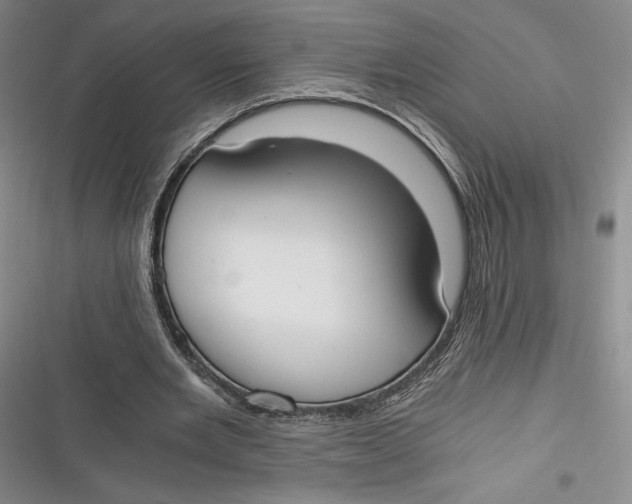 X0000116860485201001121244