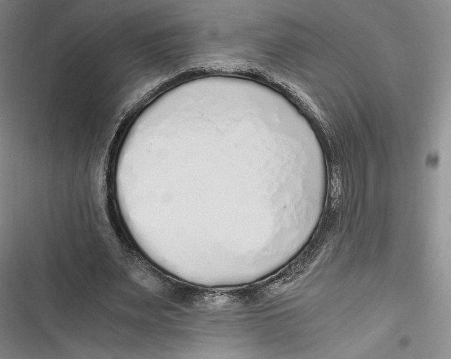 X0000116860487201001121244