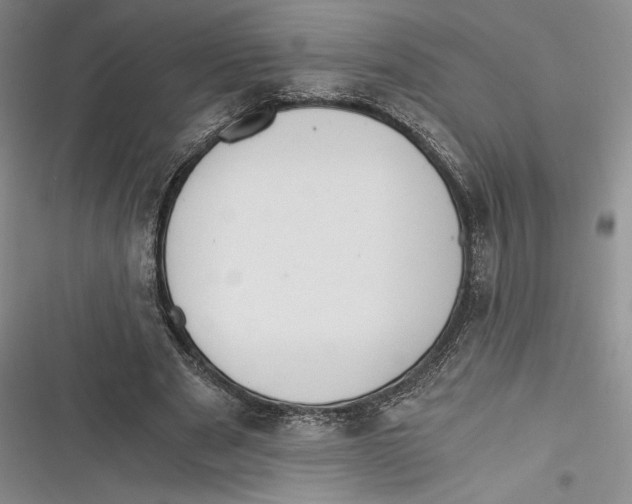 X0000116860489201001121244