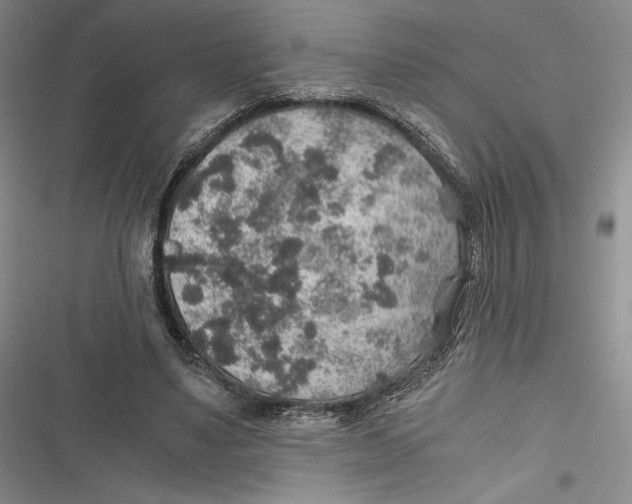 X0000116860491201001121244