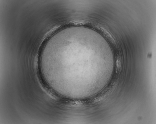 X0000116860492201001121244