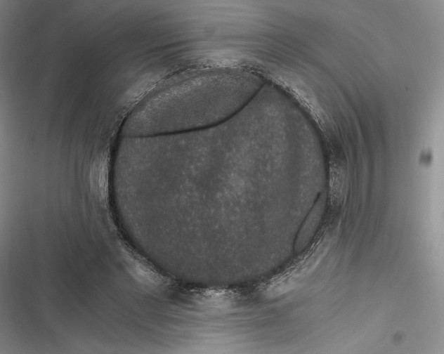 X0000116860493201001121244