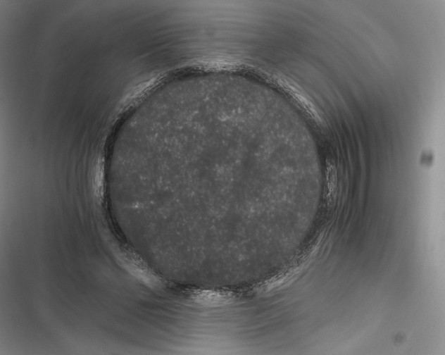 X0000116860494201001121244