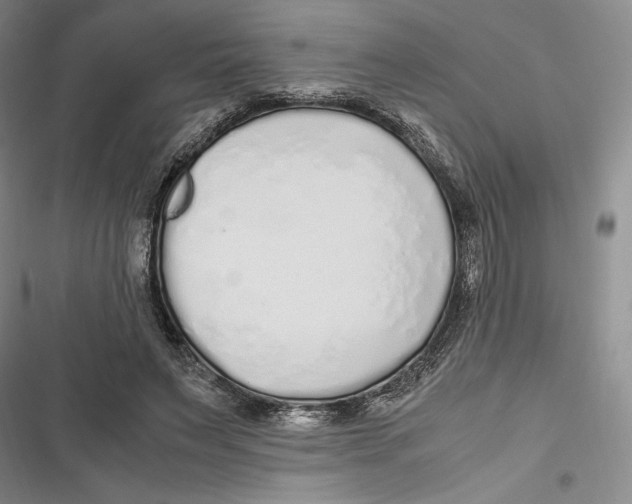 X0000116860495201001121244