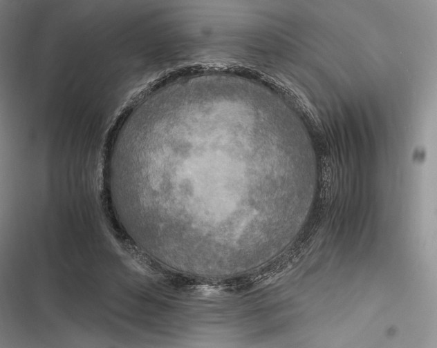 X0000116860496201001121244