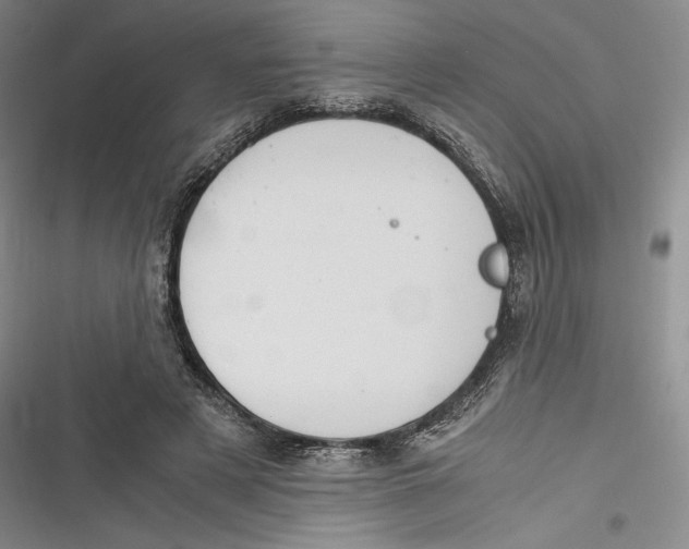 X0000116860497201001121244